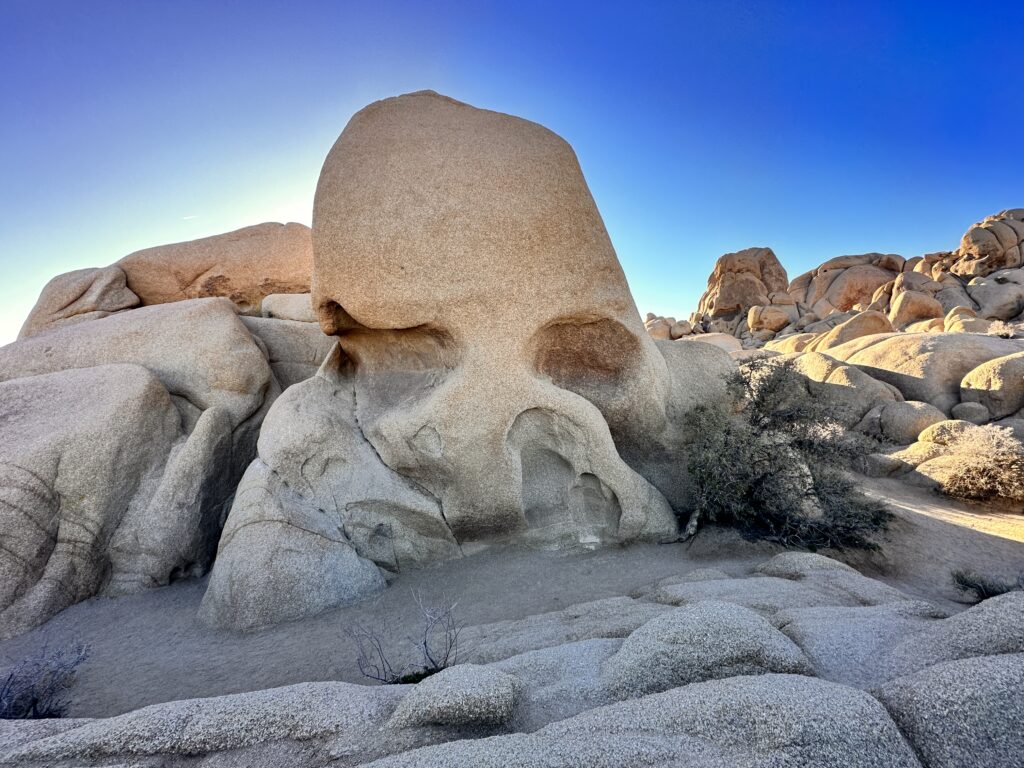 Skull Rock in Joshua Tree National Park