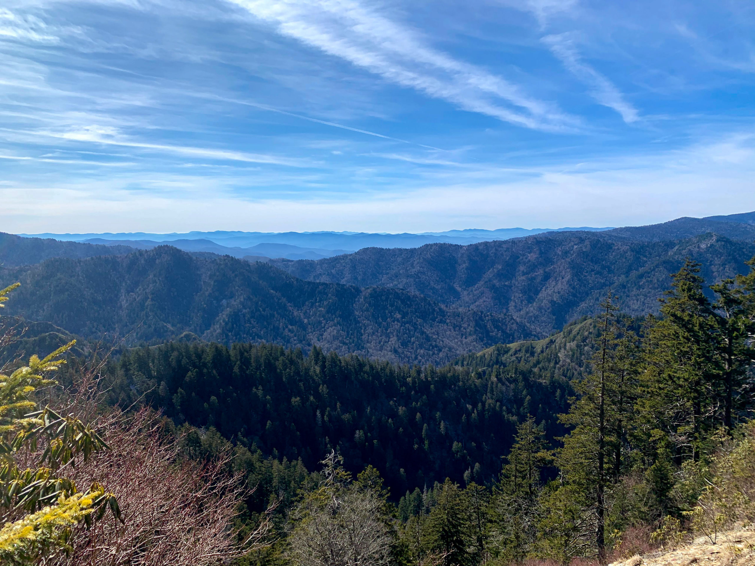 Views from Clingmans Dome road 