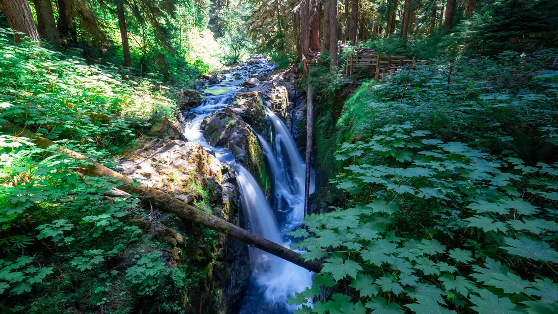 View of Sol Doc Falls with dappled sunlight shining through the rainforest canopy in Olympic National Park during Alice Ford's 4-day solo hiking journey