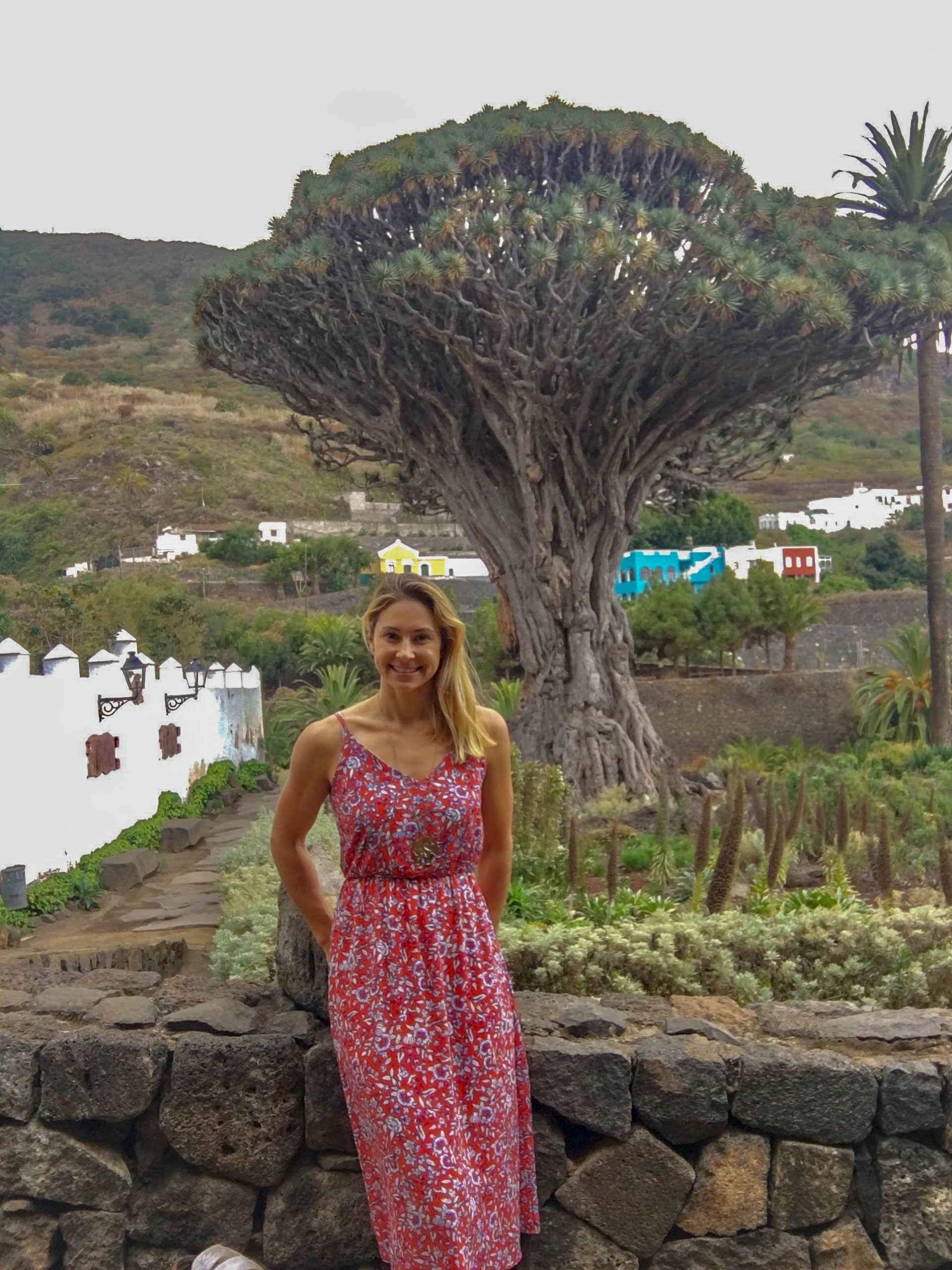 Women standing in front of a dragon tree in Tenerife