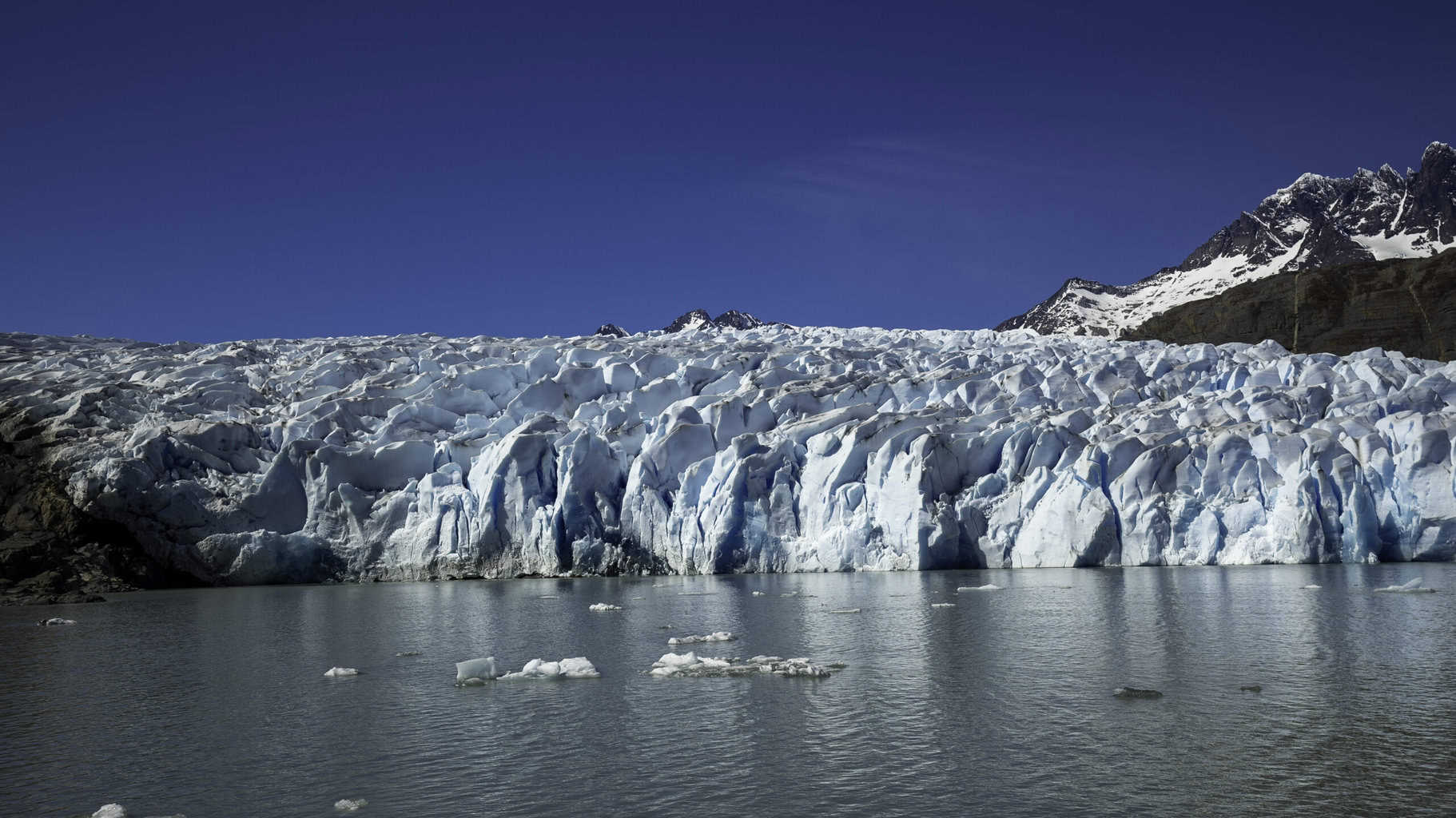 Grey glacier as seen from the Lago Grey ferry 