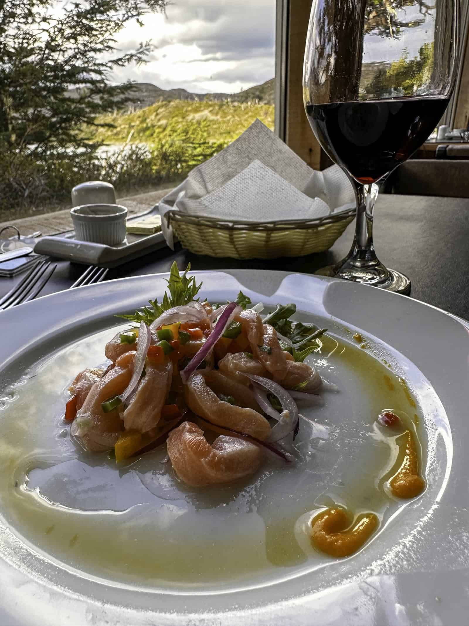 Fresh ceviche, red wine and nice views at Hotel Lago Grey in Patagonia Chile 