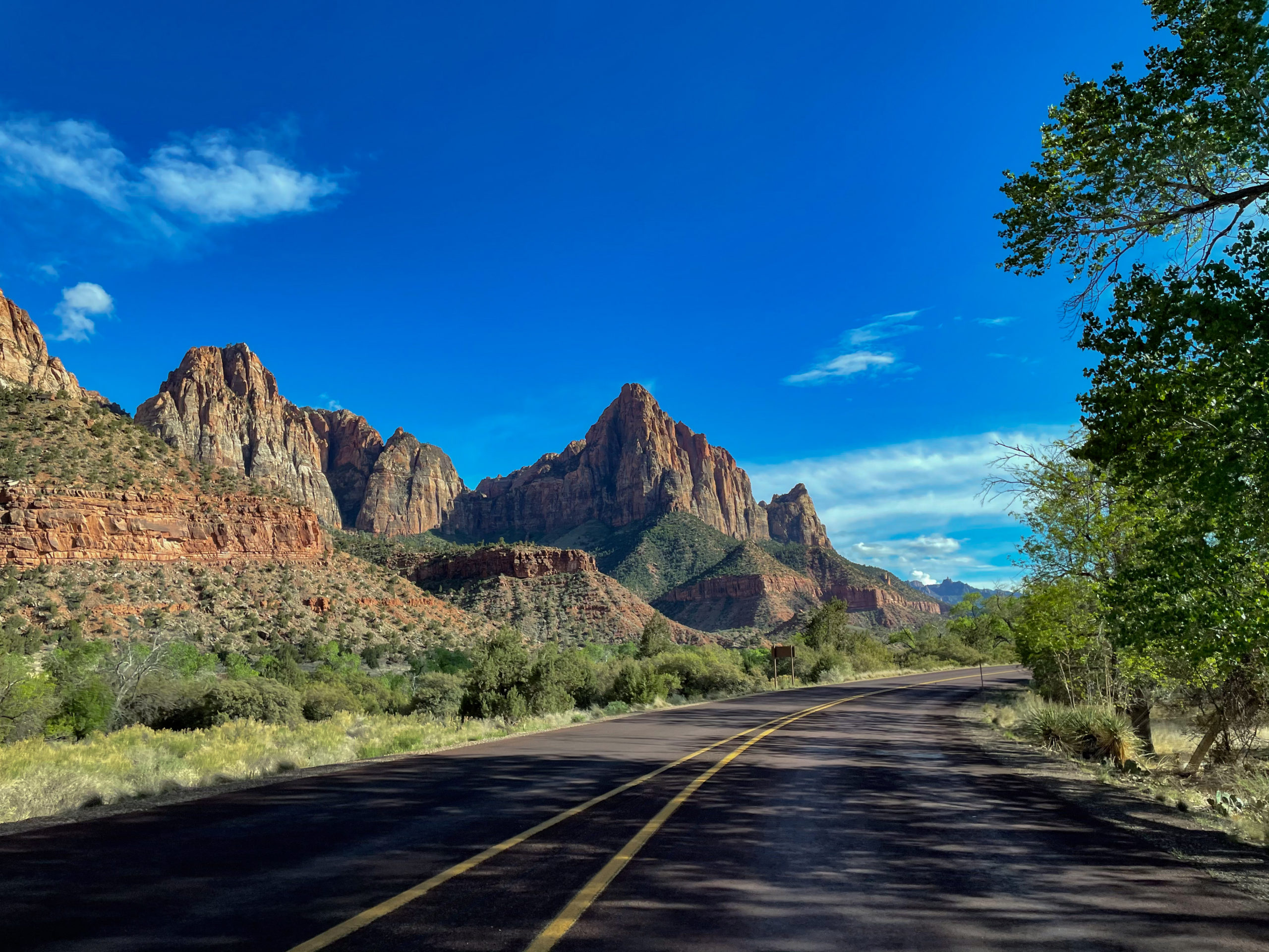 The road through Zion National Park