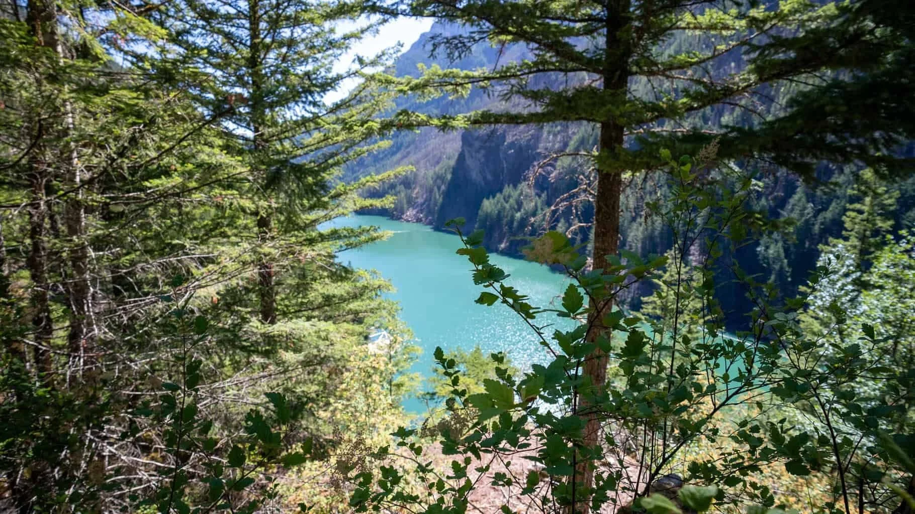 Turquoise glacial water glimpsed through tall evergreens in the North Cascades