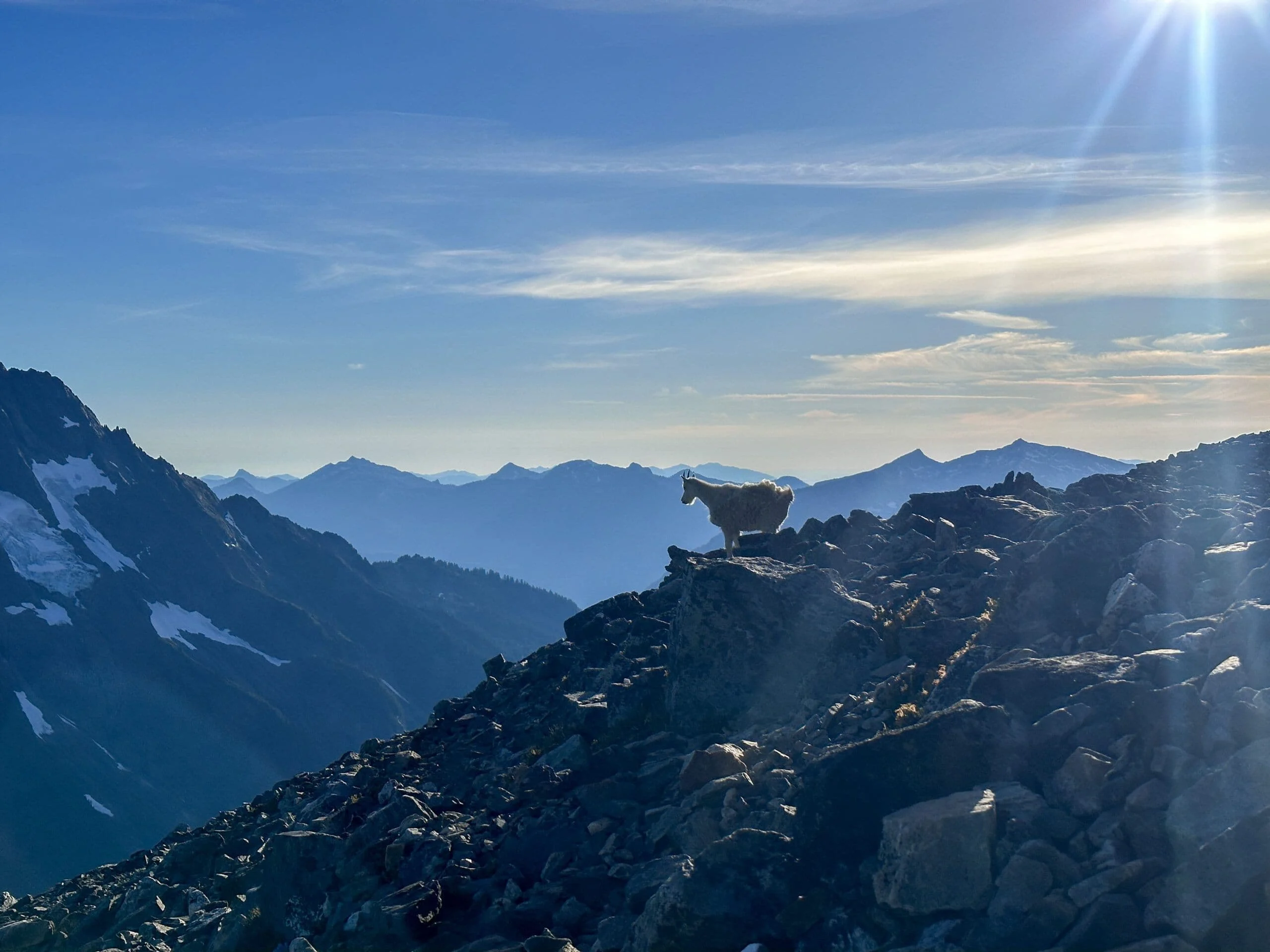 A mountain goat on a granite ridge as the sun bursts over layered blue ranges in the North Cascades