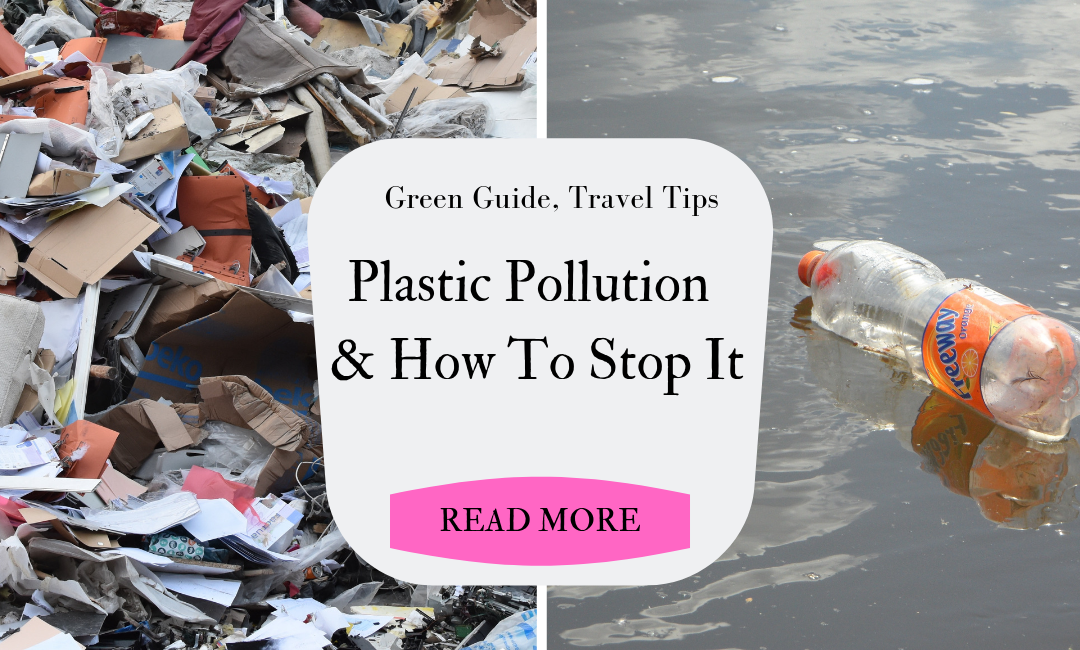 How to go Plastic Free & Fight Pollution