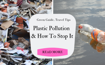 How to go Plastic Free & Fight Pollution