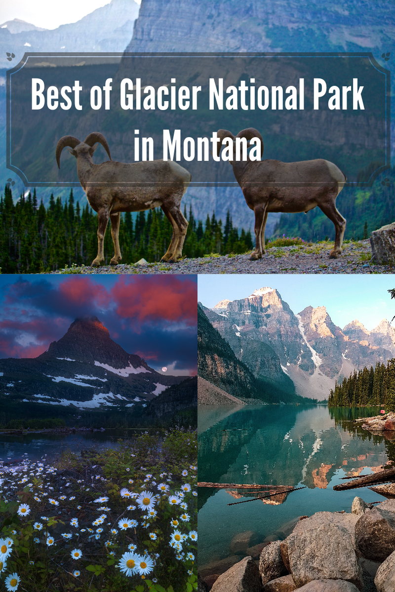 Best things to do in all 4 areas of Glacier National park #montana #glacier 