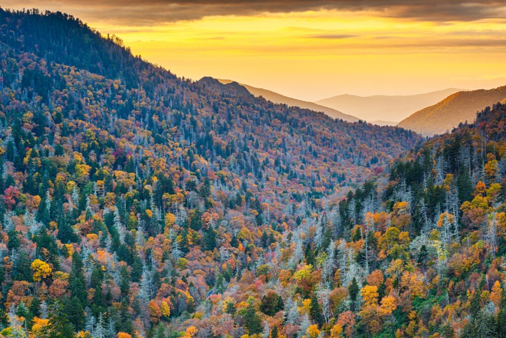 Great Smoky Mountains National Park in Tennessee shown in fall with colorful foliage in Newfound Pass for considerations when planning a U.S. national parks trip