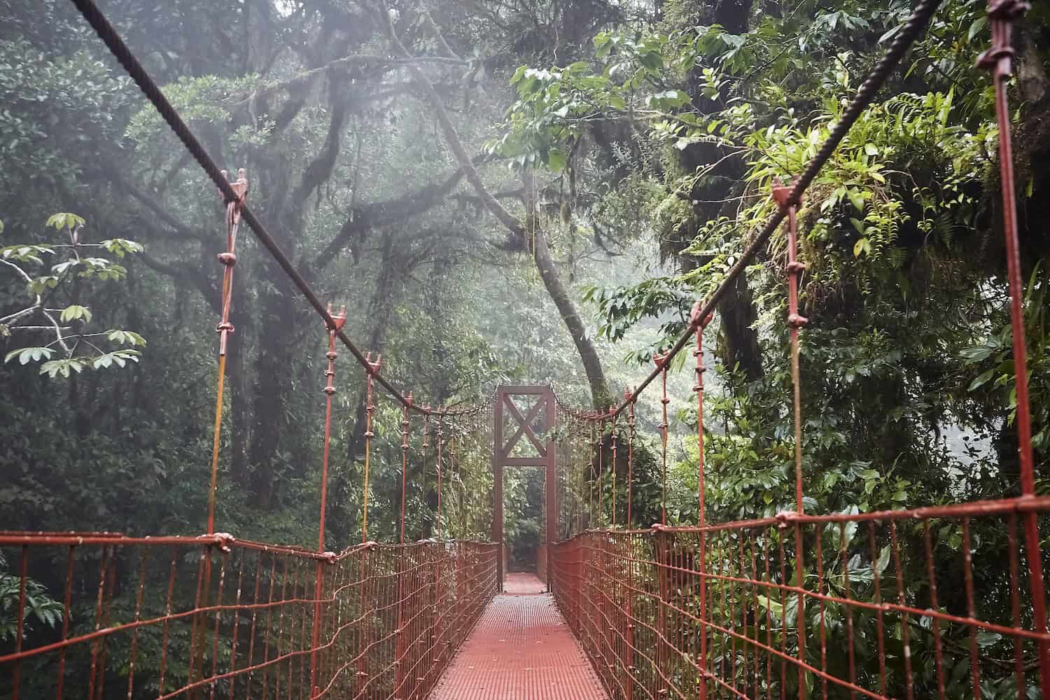 Red hanging bridge going through magnificent cloud forest in Costa Rica