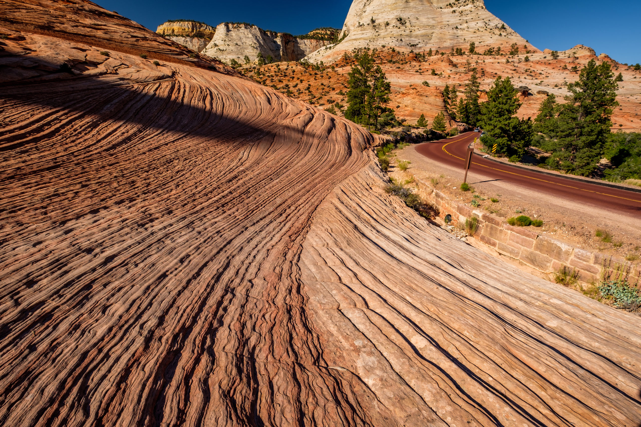 Striated rock formations in Zion National Park