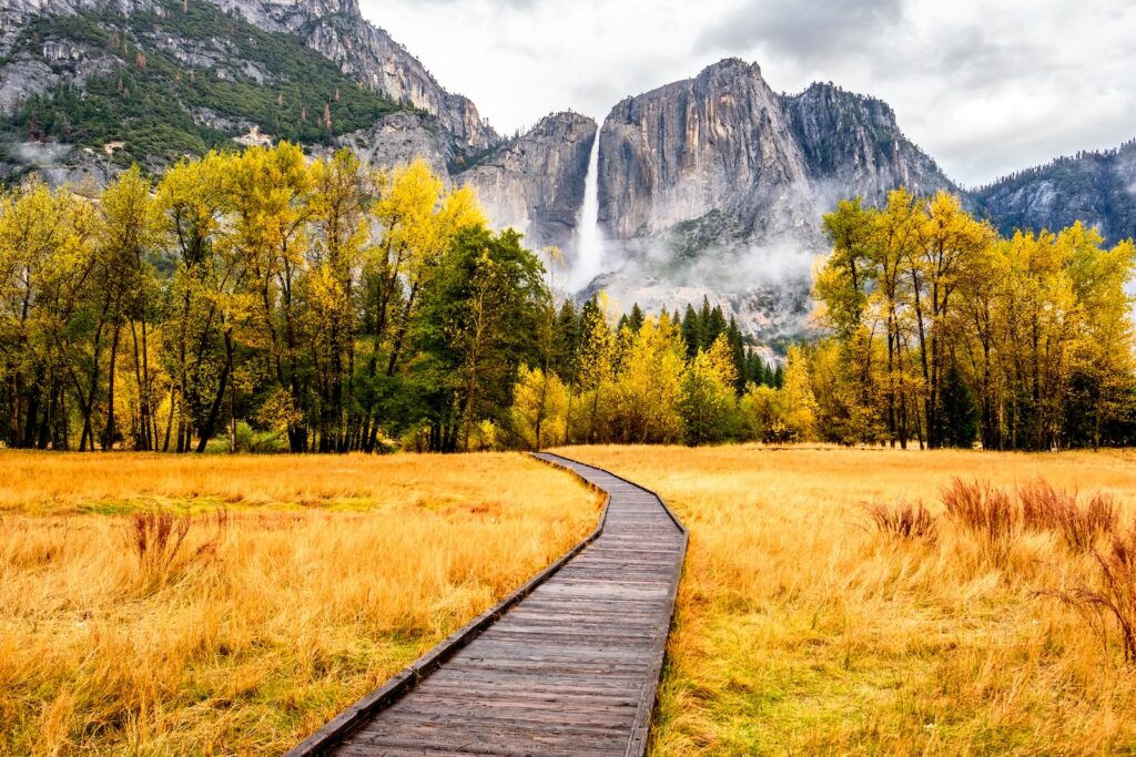 Yosemite National Park meadow with boardwalk leading to rock formations in the valley during the autumn season as leaves begin to change color