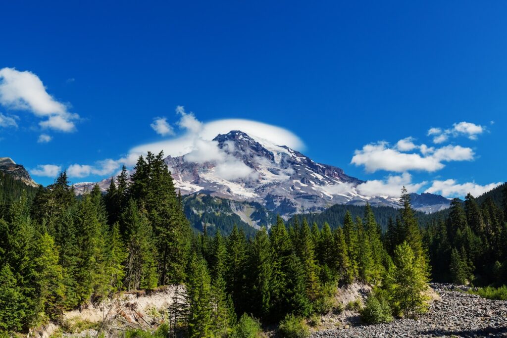 View of snow-capped Mt. Rainier in Mt. Rainier National Park featuring evergreen trees in the foreground in a 7-day itinerary for PNW national parks