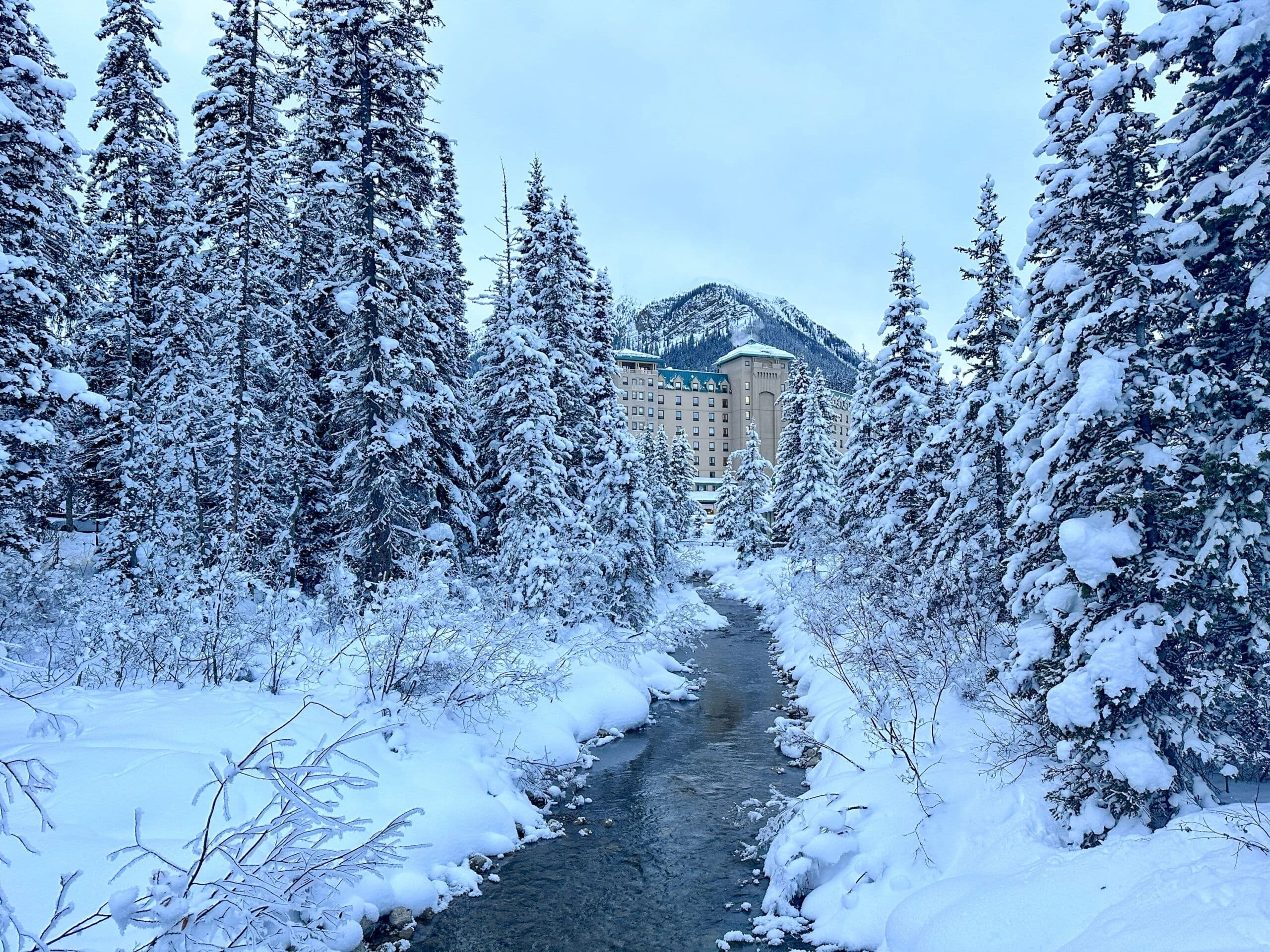 Snow-laden forest along a frozen creek in Banff