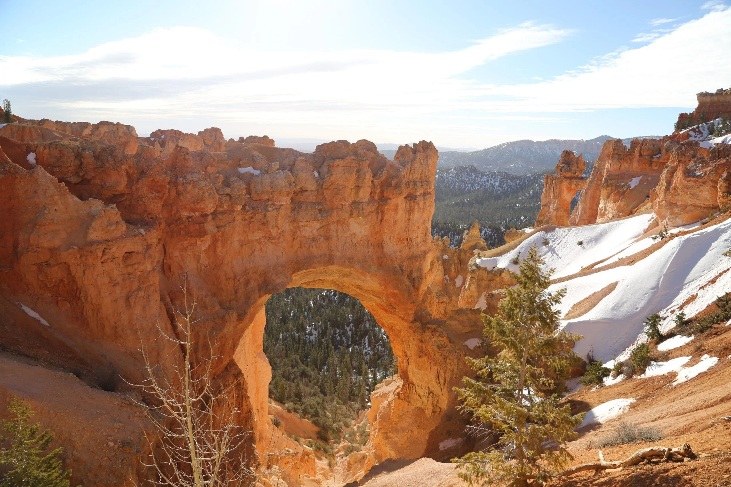 A sandstone arch and pines at Bryce Canyon in winter