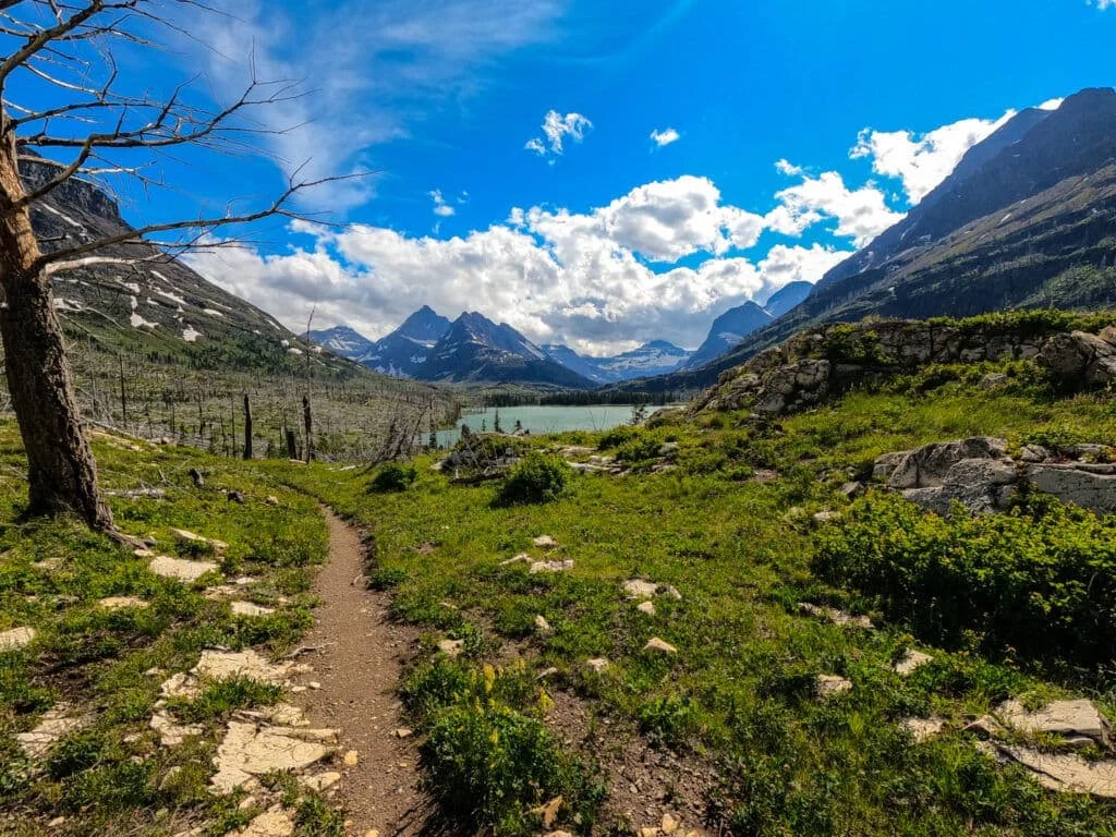 A trail winding through a green valley toward peaks in Glacier National Park