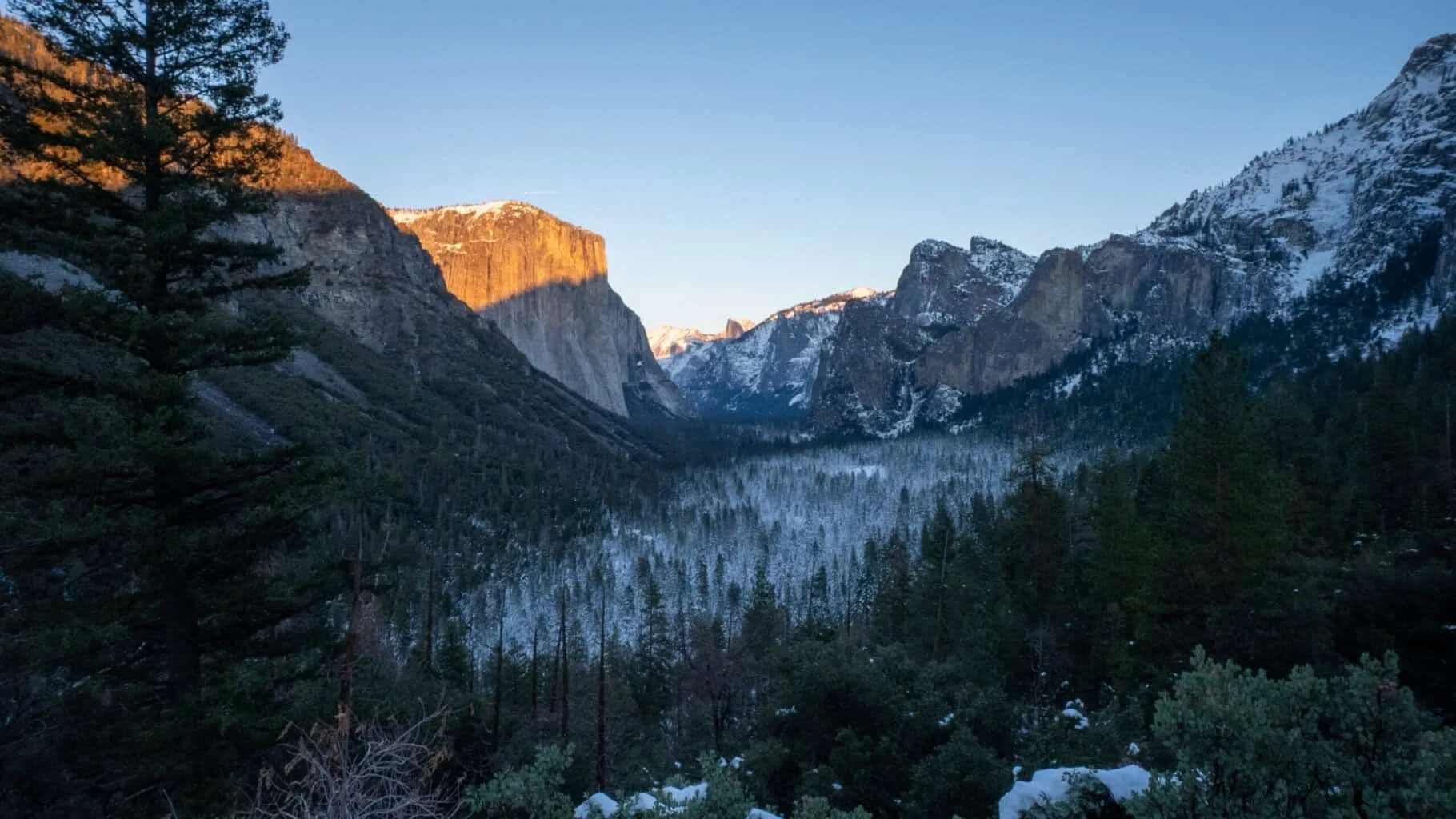 Yosemite Valley in winter with El Capitan above snow-dusted forest