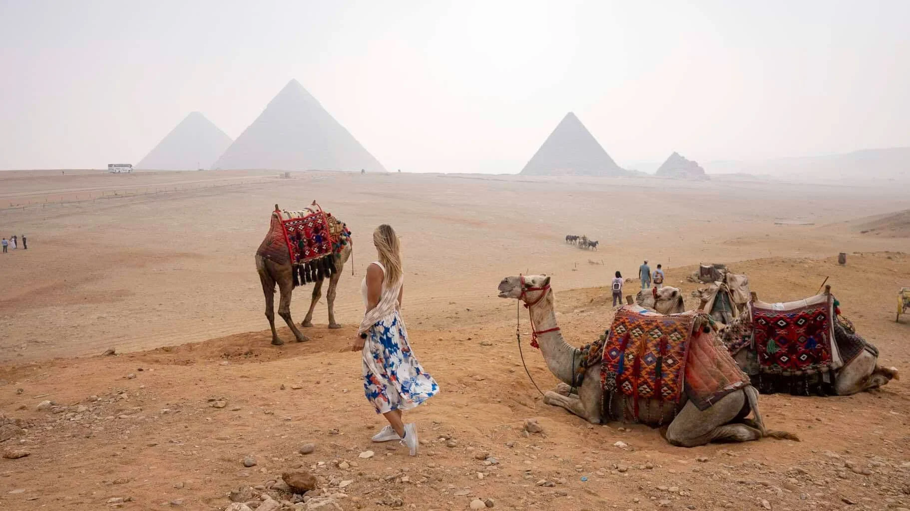 Alice with camels in front of the Giza pyramids