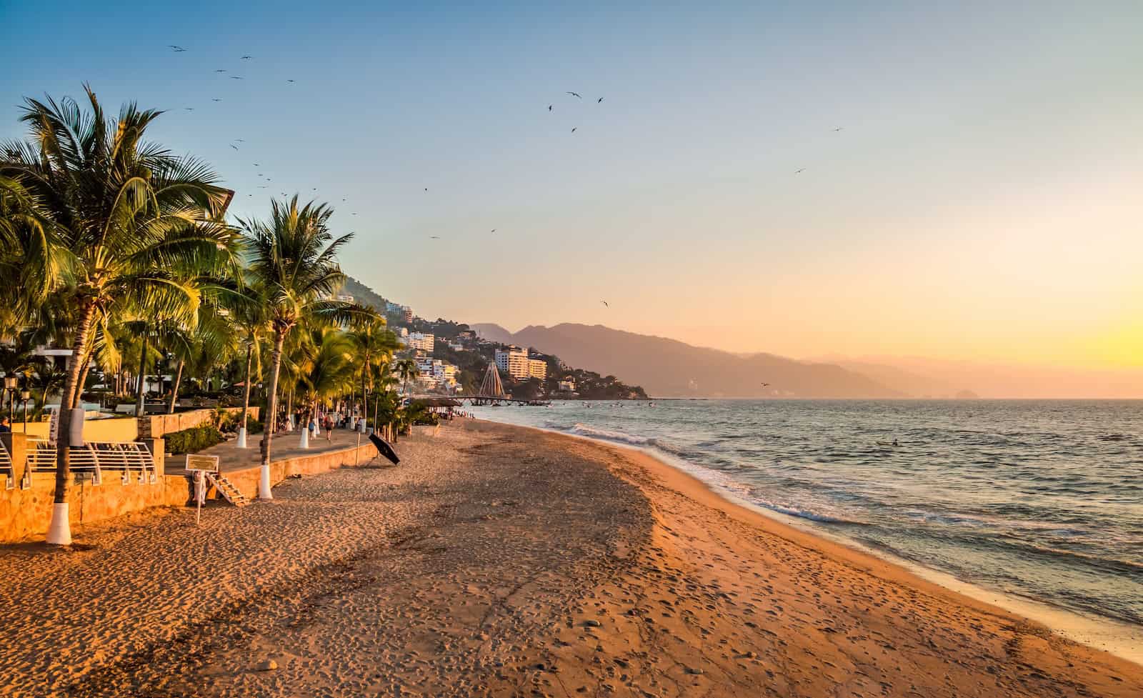 Puerto Vallarta sunset and palms - Puerto Vallarta, Jalisco, Mexico - Puerto Vallarta, Jalisco, Mexico to demonstrate where to escape for winter sun