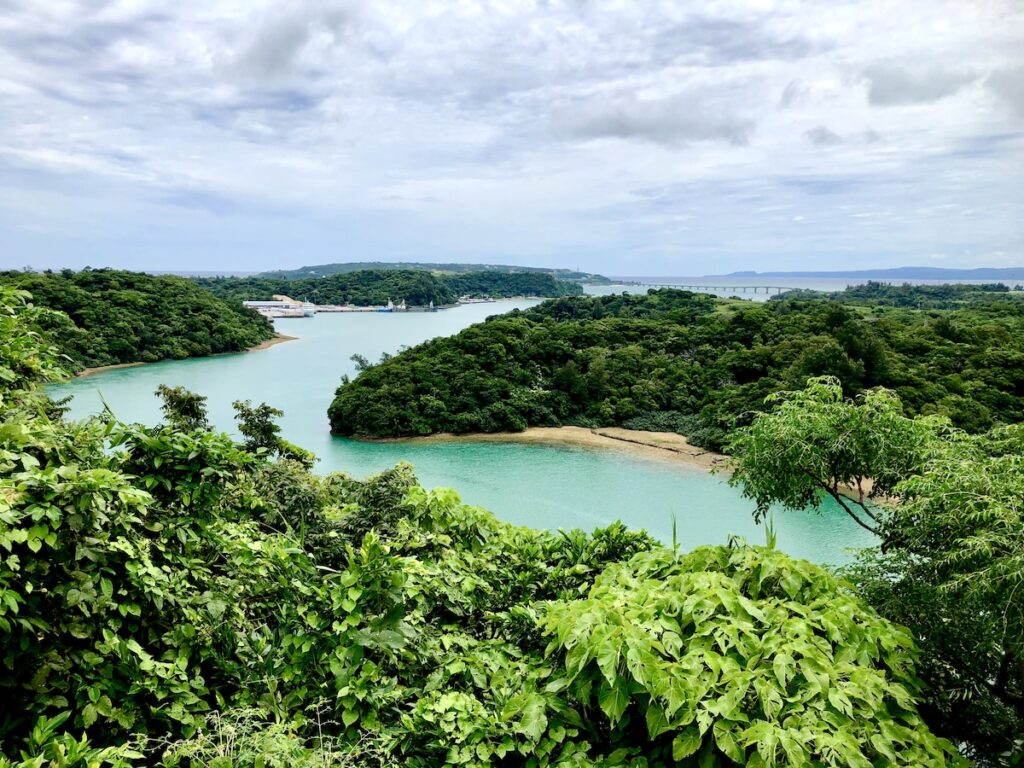 Northern Okinawa, one of the best adventure destinations in Japan, shown with lush jungles meeting the water on a cloudy day