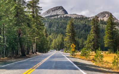 View of a scenic drive through Yosemite National Park for a guide on how to plan a U.S. national park road trip