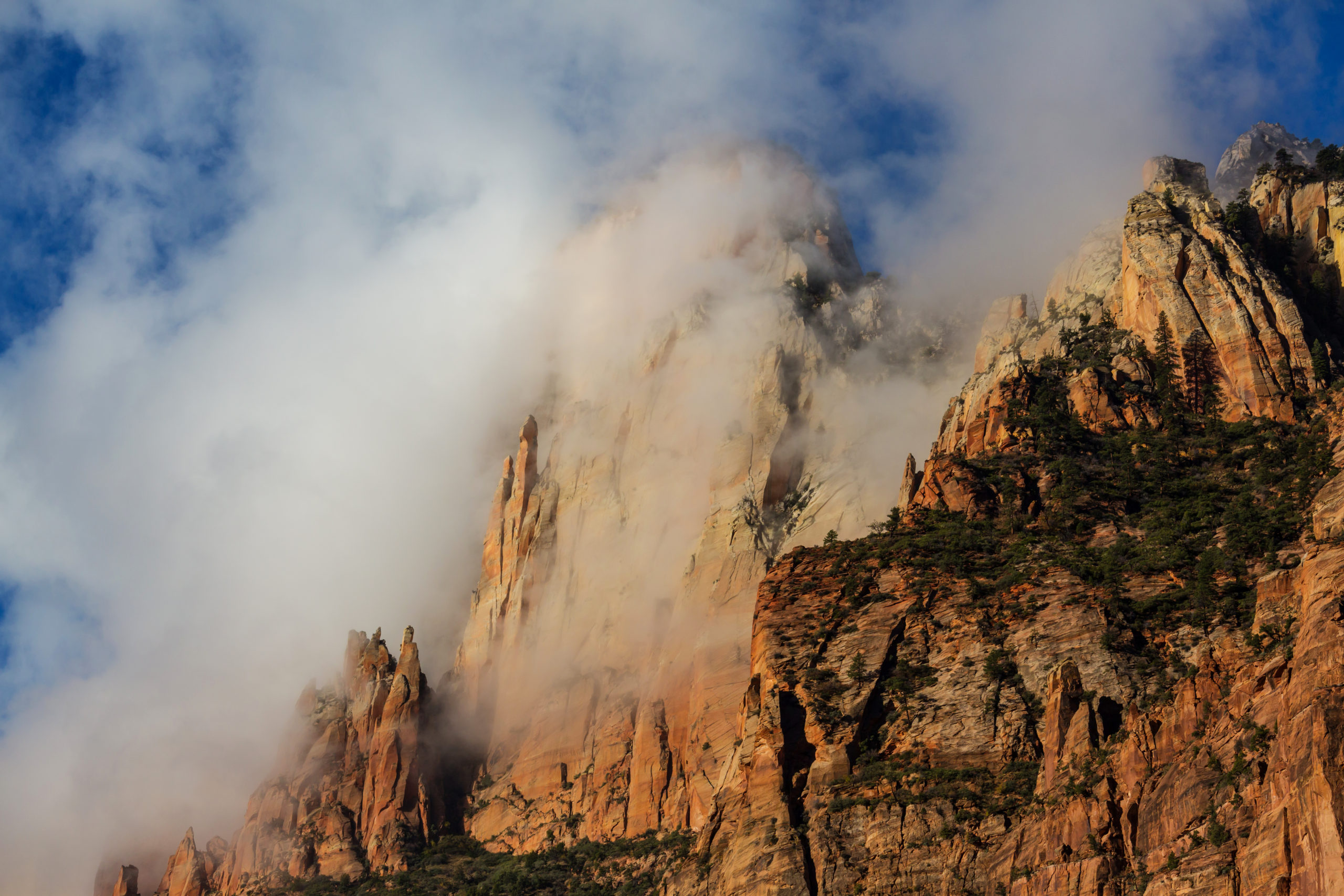 Fog at Zion national Park in Utah 
